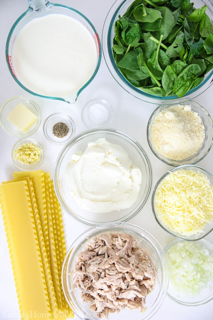 overhead image of ingredients for Chicken Alfredo Lasagna