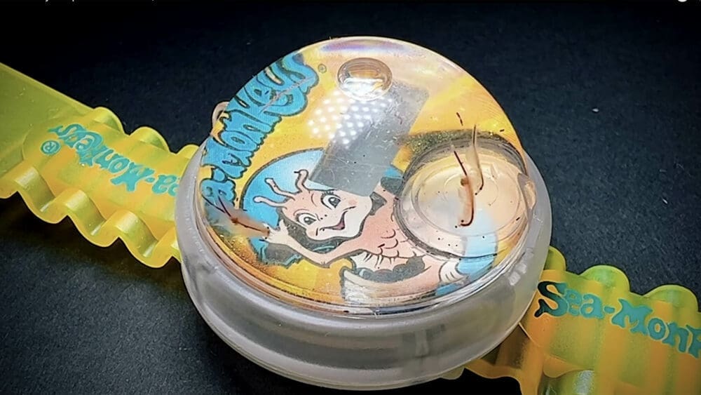 The Amazing Live Sea-Monkeys Aquarium Watch